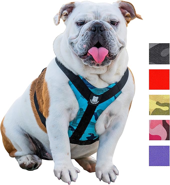 american bulldog gear