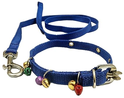 puppy belt online