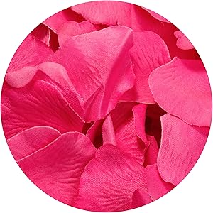 Koyal Wholesale 200-Pack Silk Rose Petals, Fuchsia