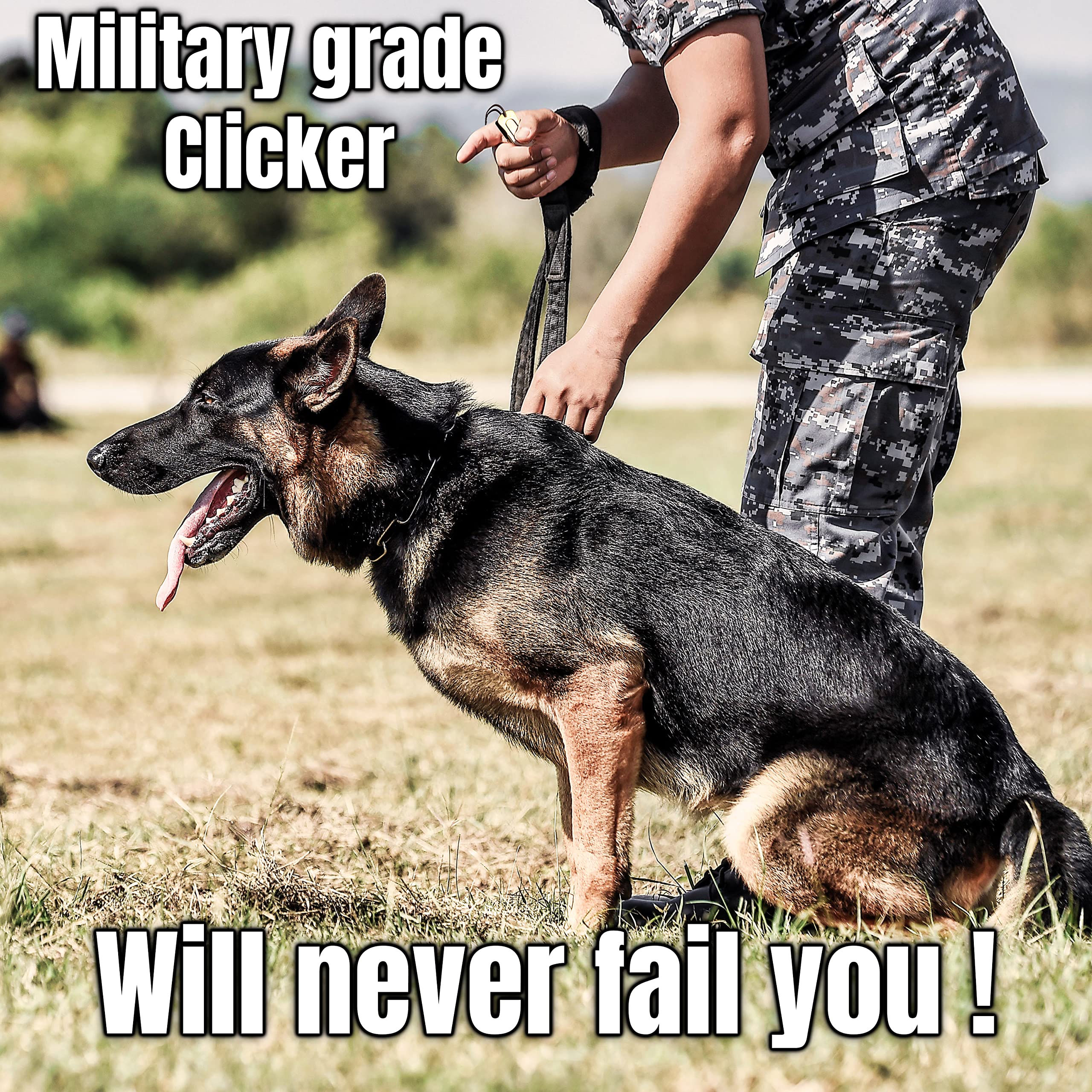 Pet Training Clicker
