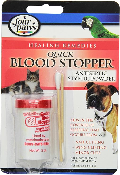 golden retriever and jack russell