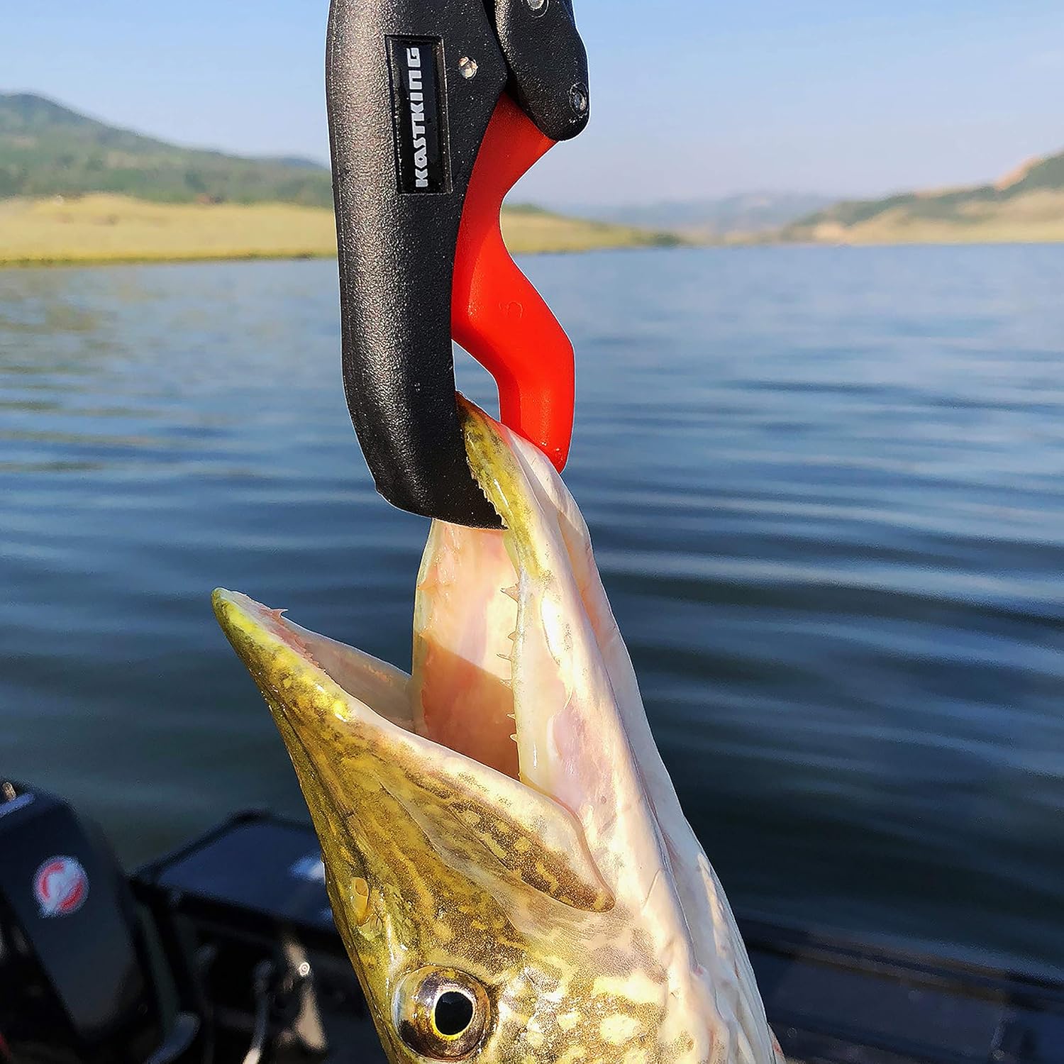 KastKing Waterproof Floating Digital Fishing Scale with No-Puncture Lip Gripper. Dual Mode - Pounds/Ounces & Kilograms. 0-50 Lbs/22.68 Kg, Lightweight ABS Frame, Non-Slip Handle. : Sports & Outdoors