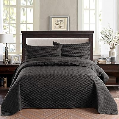 Exclusivo Mezcla 2-Piece Twin Size Quilt Set with Pillow Shams