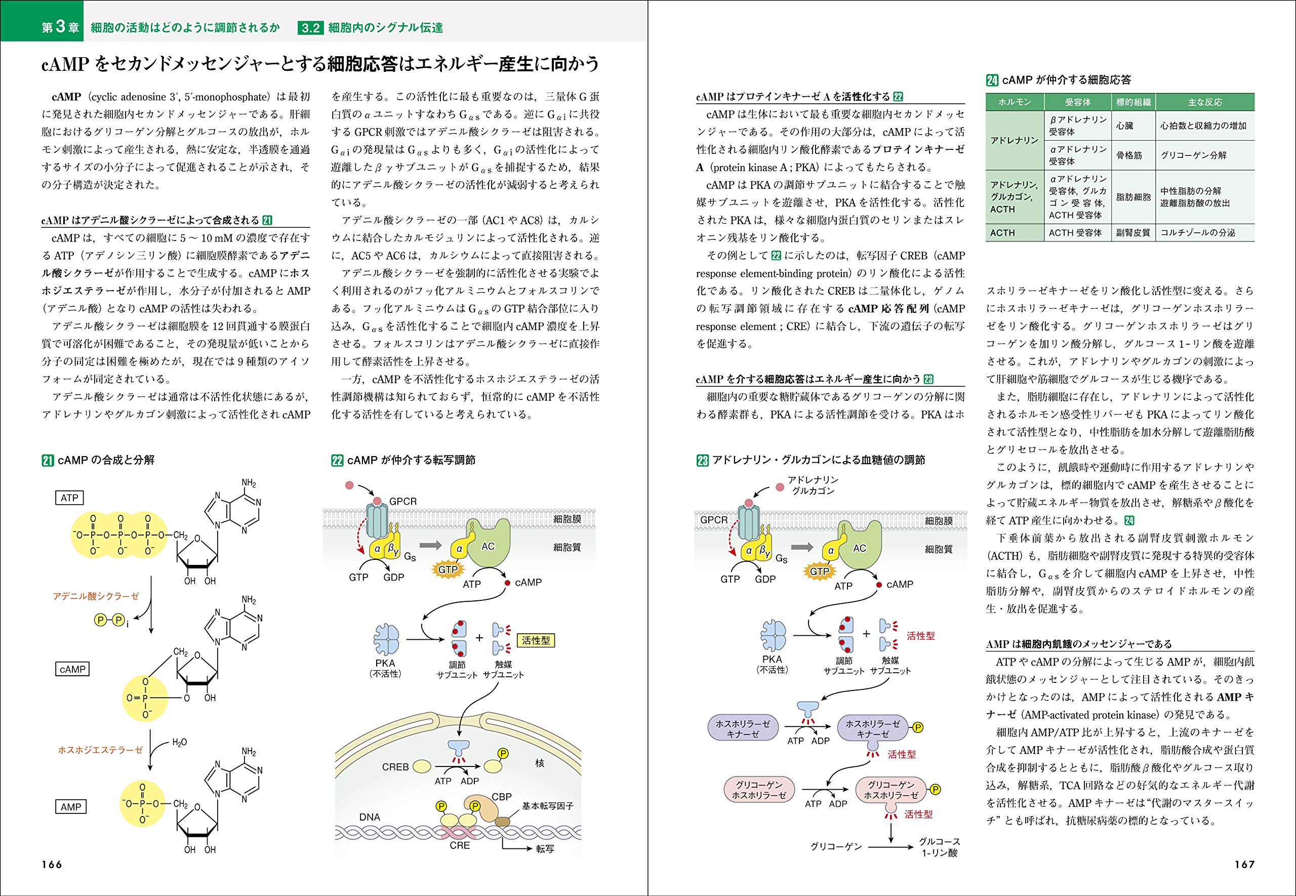 カラー図解 人体の細胞生物学 電子書籍付き Amazon Com Books
