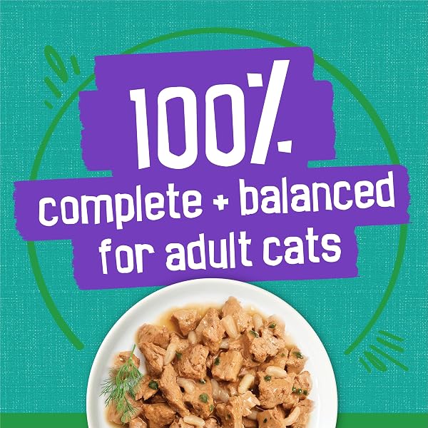 PURINA FRISKIES INDOOR CAT FOOD MEATY BITS SAUCY SEAFOOD BAKE WITH GARDEN GREENS IN SAUCE – (PACK OF 24) 5.5 OZ. CANS