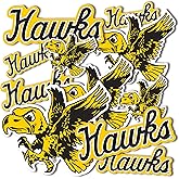 Desert Cactus University of Iowa Sticker Iowa Hawkeyes Vinyl Decal Laptop Water Bottle Car Scrapbook Sheet (Type 1-2 Vintage)