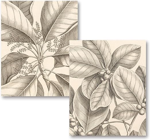 Amazon Com Gango Home Decor Tropical Connection Beautiful Sepia