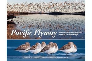 Pacific Flyway: Waterbird Migration from the Arctic to Tierra del Fuego
