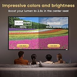 High gain 120 Inch Projector Screen - Wall Mounted