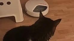 Amazon.com : Cat Mate C300 Automatic Digital Pet Feeder for Dogs and