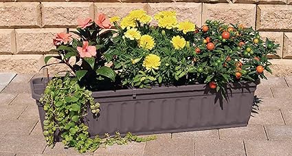 Blumenkasten 80 cm anthrazit mit Wasserspeicher MADE IN GERMANY