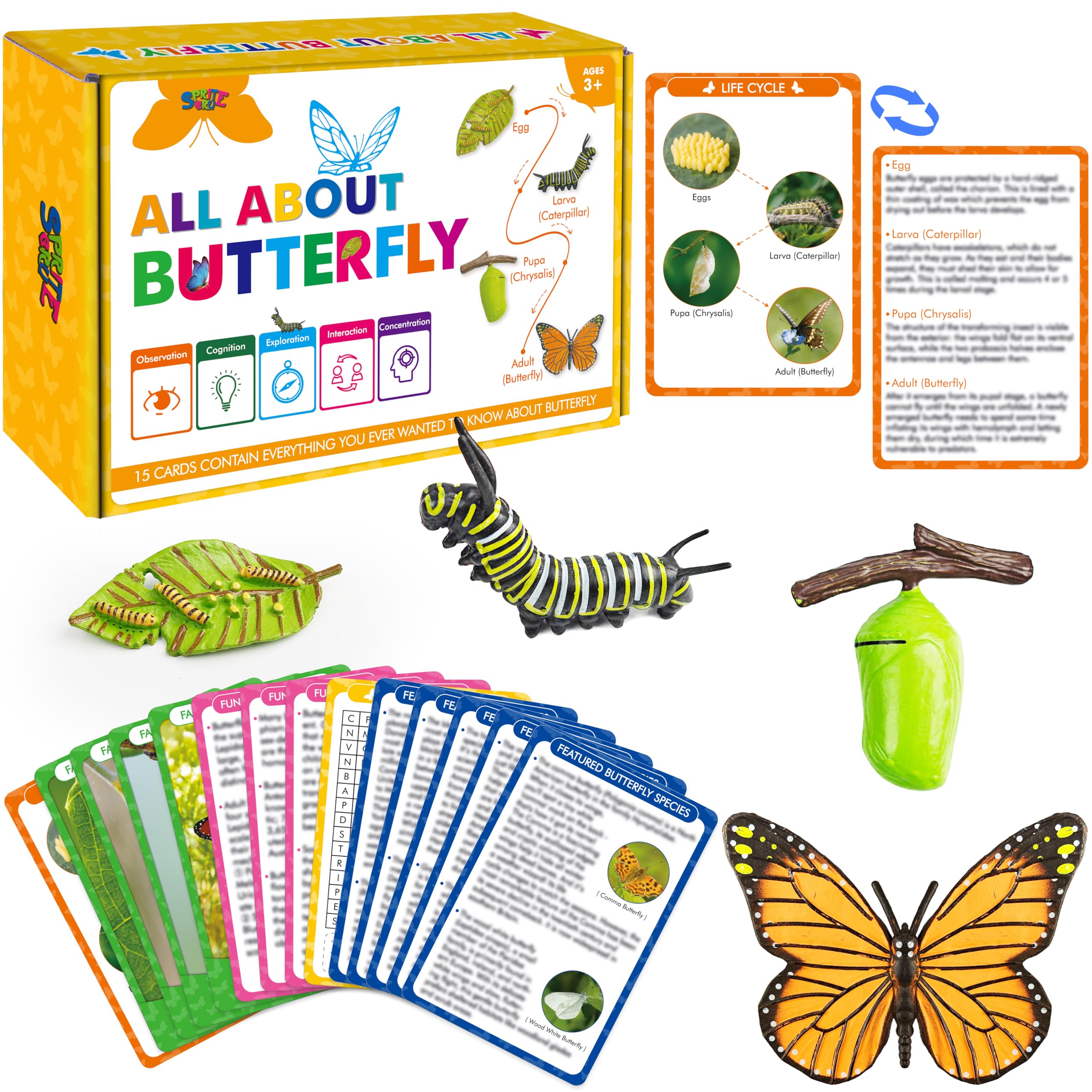 15 Butterfly Life Circle Flashcards with 4 Plastic Figurines, Butterflies Introduction Cards Plastic Insects Egg to Butterfly Kit Toy for Kids, Adults, Animal Lovers