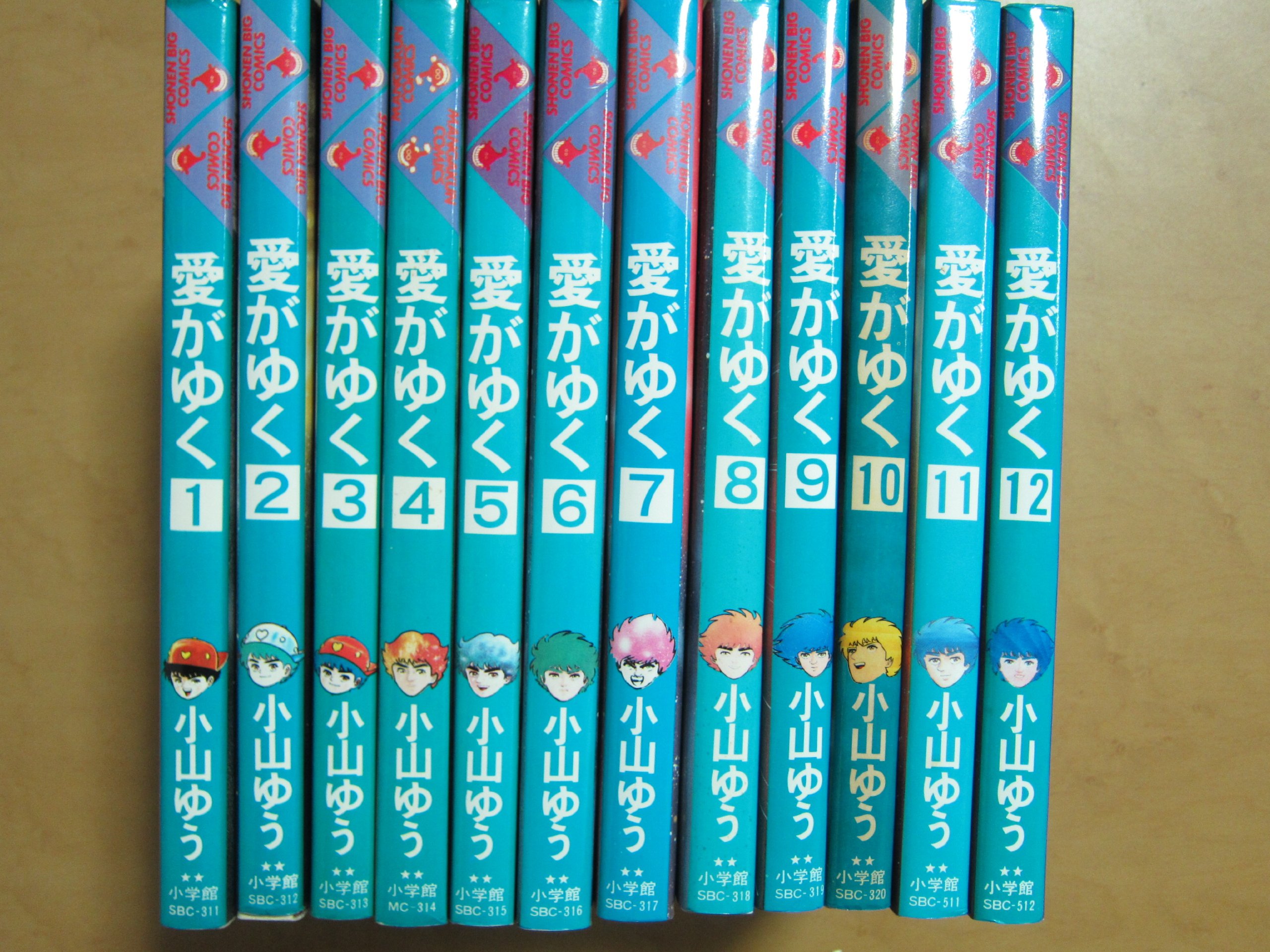 愛がゆく 全12巻 コミック セット 小山 ゆう 本 通販 Amazon