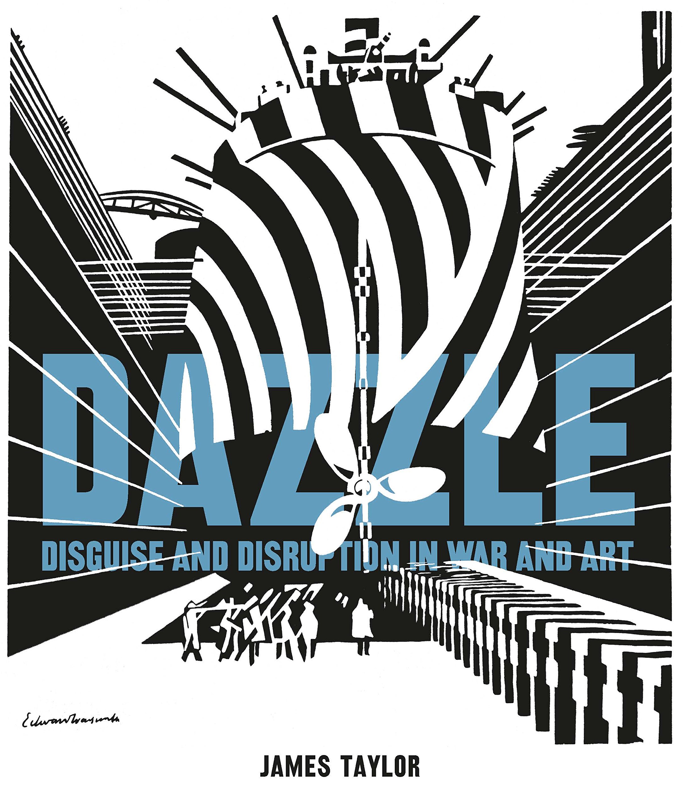 Image result for dazzle camouflage book