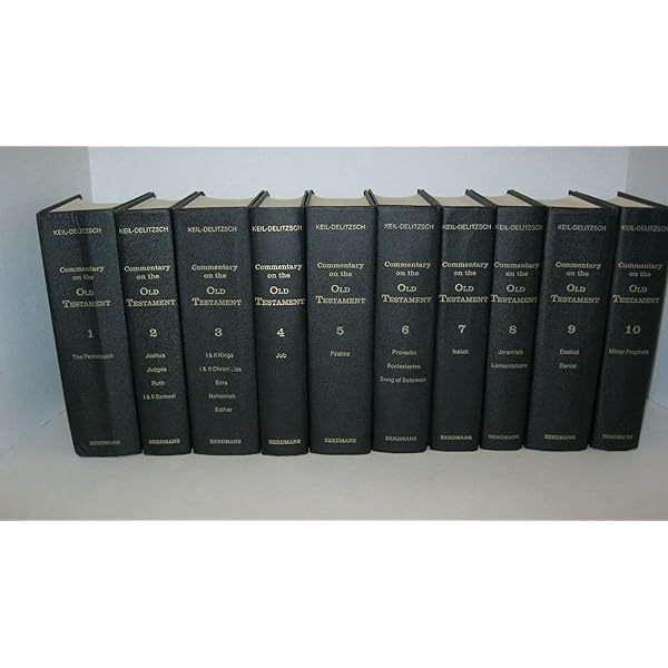 10 Volume Set : Keil and Delitzsch Commentary on the Old Testament