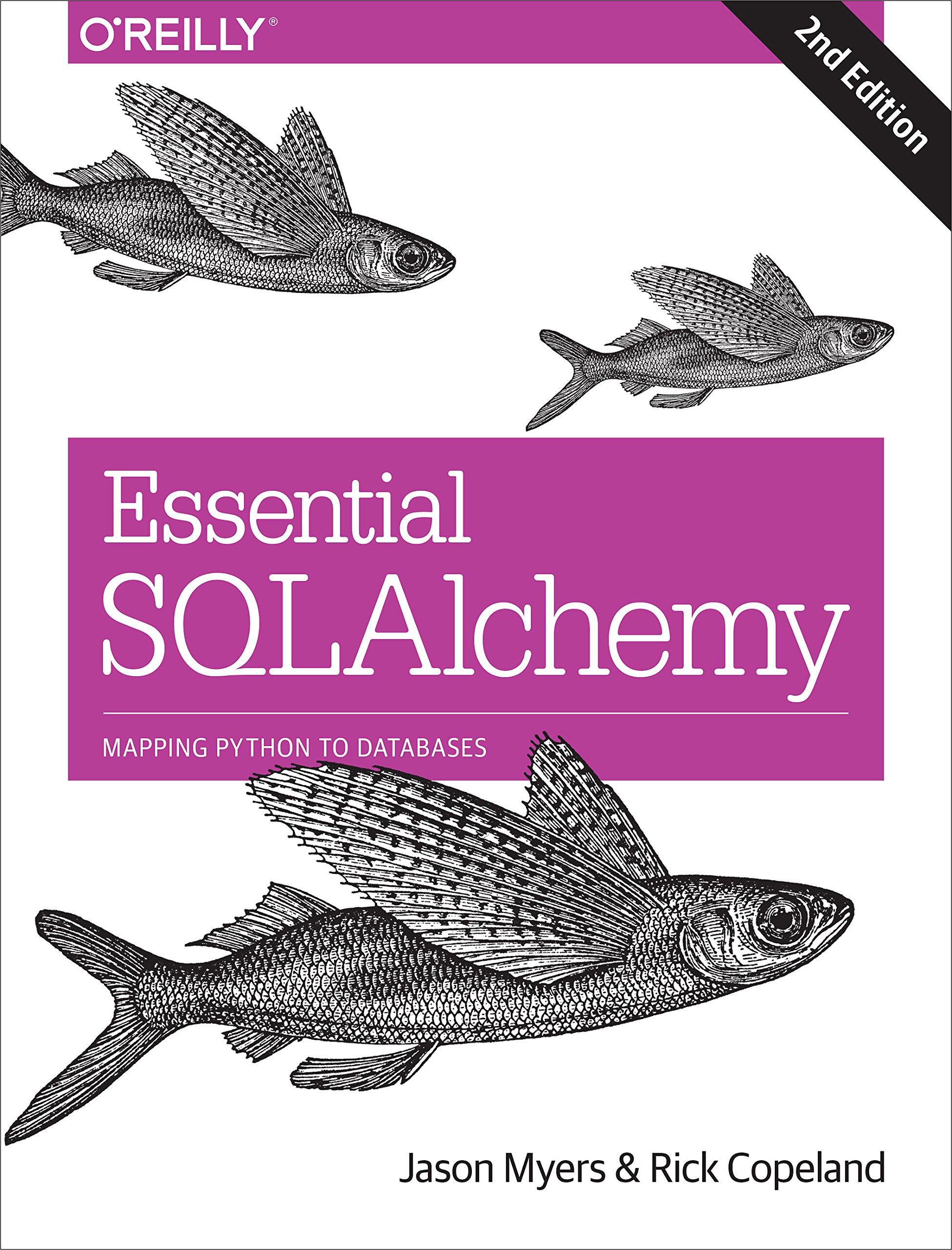 Essential SQLAlchemy, 2e: Mapping Python to Databases