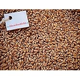 Canada Grown Certified Organic Hard Red Wheat Berries 2Kg - Non-GMO, Whole Grain, Food Grade, Vegetarian, Vegan, Buy Local, S