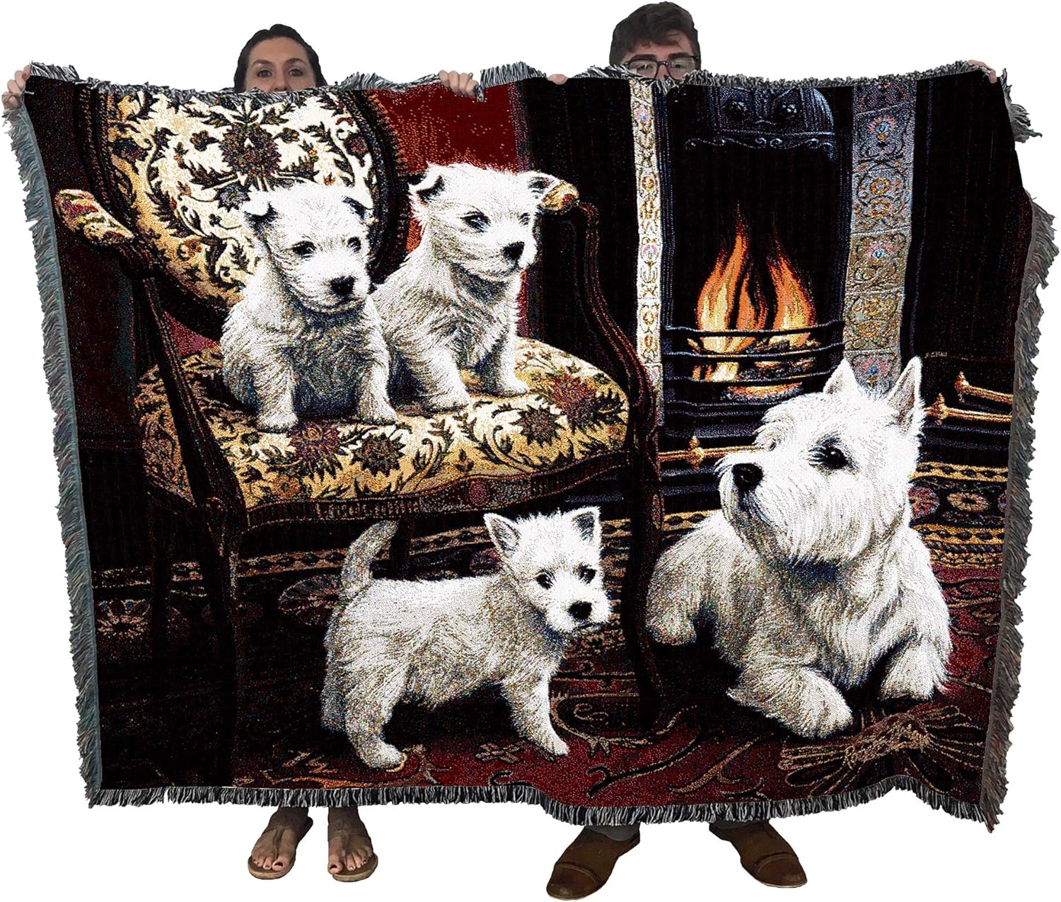 how to cool dogs down in summer