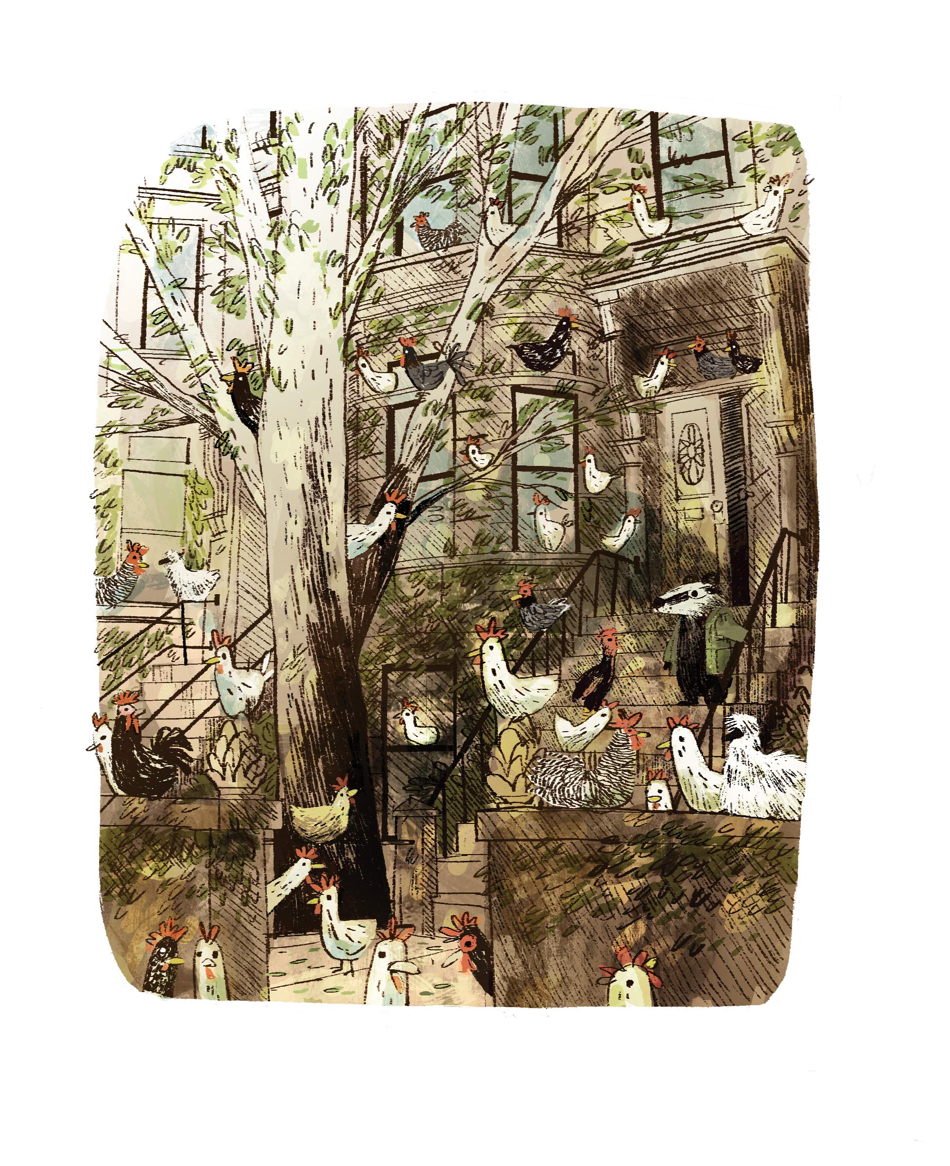 Skunk And Badger Skunk And Badger 1 Timberlake Amy Klassen Jon 9781643750057 Amazon Com Books