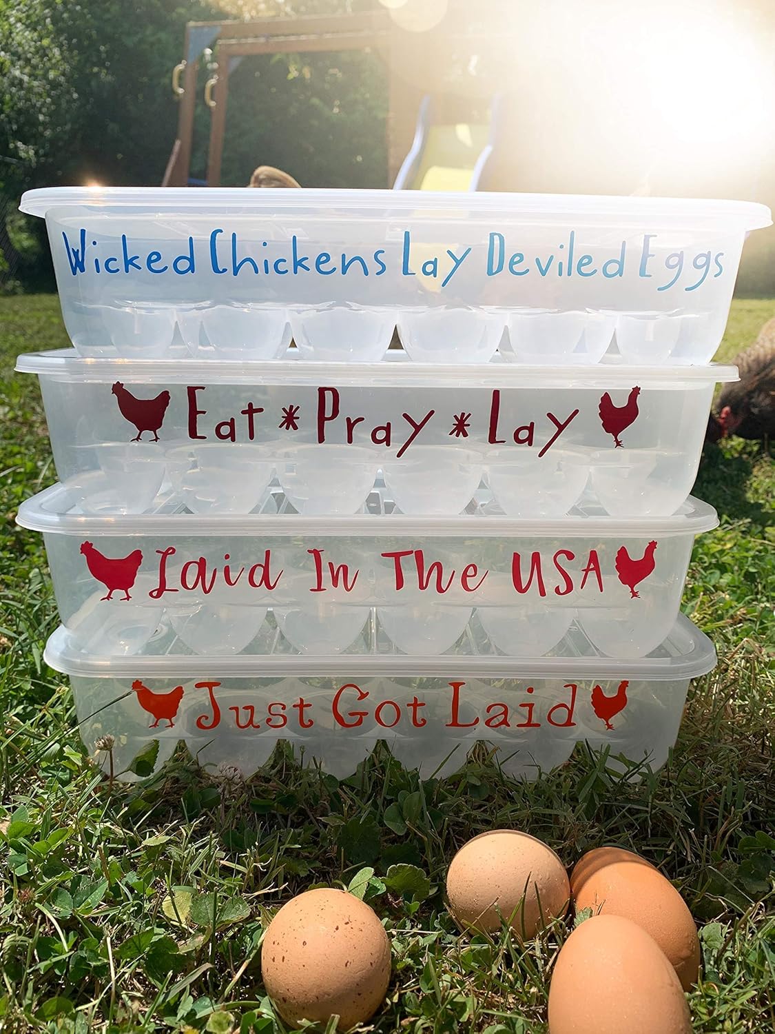 Customizable Plastic Egg Carton with Vinyl Phrases and