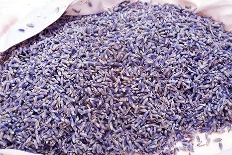 Lavendelblüten - Kochen | Duft | Räucherware | Duftintensiv | getrocknet | Lavendel VERSCHIEDENE GRÖßEN