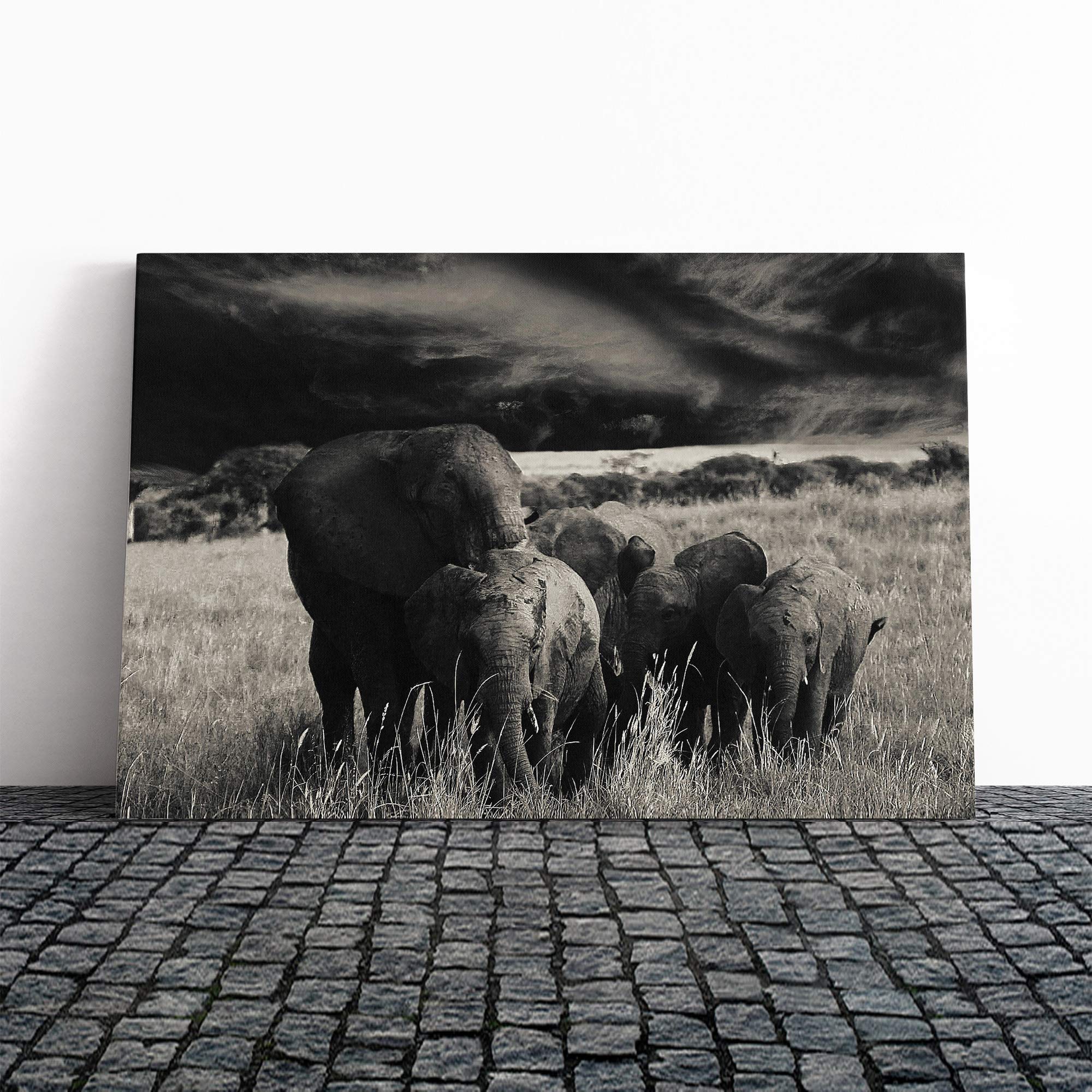 Elephant Vol.4 Canvas Print | Gallery Wrapped 30mm Frame Wall Art | 20x14 inches | Ready to Hang | Modern Animals Picture | Living Room Bedroom Lounge Office