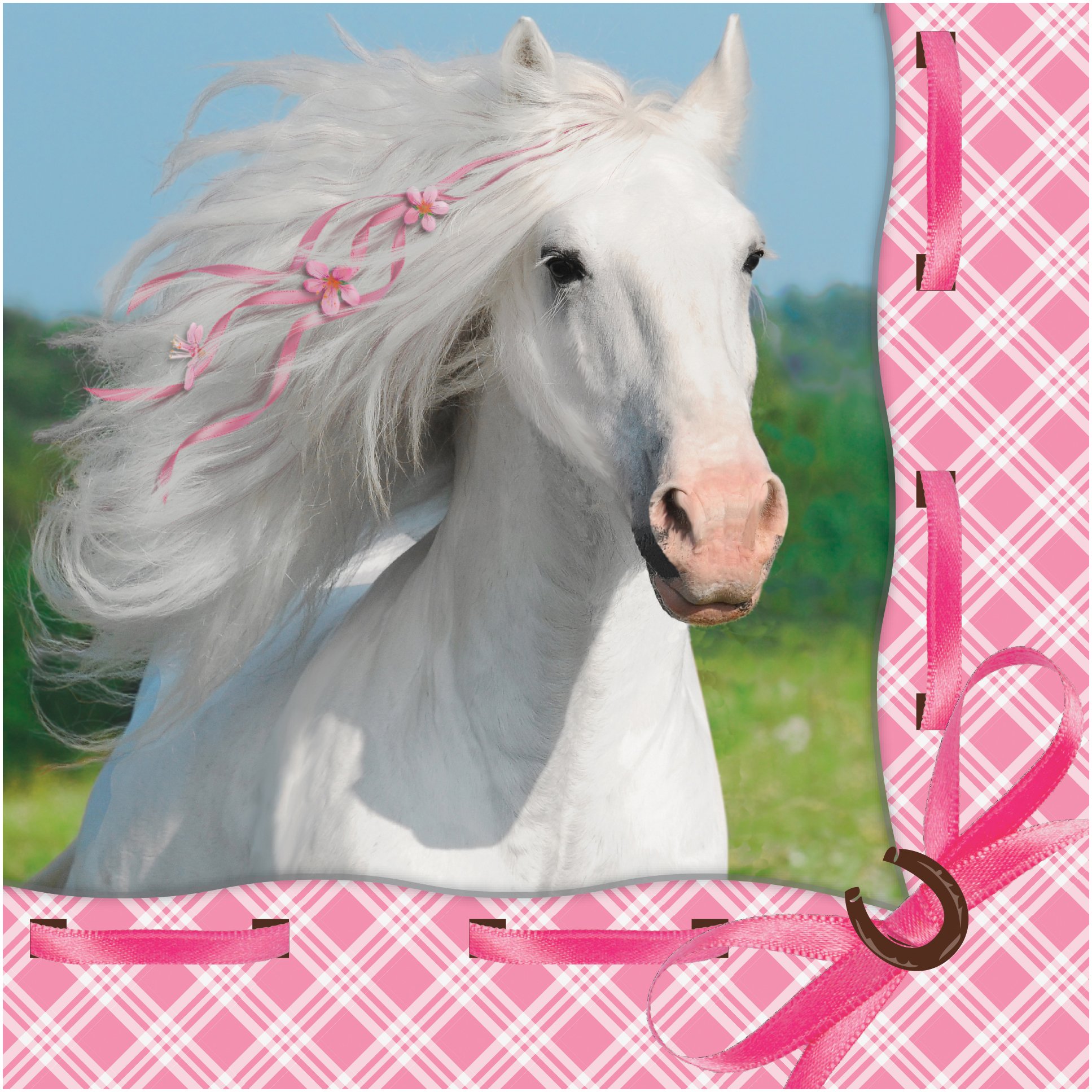Creative Converting 16 Count Heart My Horse 3-Ply Beverage Napkins, White/Pink, 655601