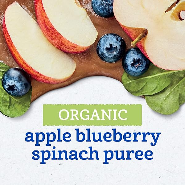 GERBER ORGANIC BABY FOOD POUCHES, 2ND FOODS FOR SITTER, APPLE BLUEBERRY SPINACH, 3.5 OUNCE