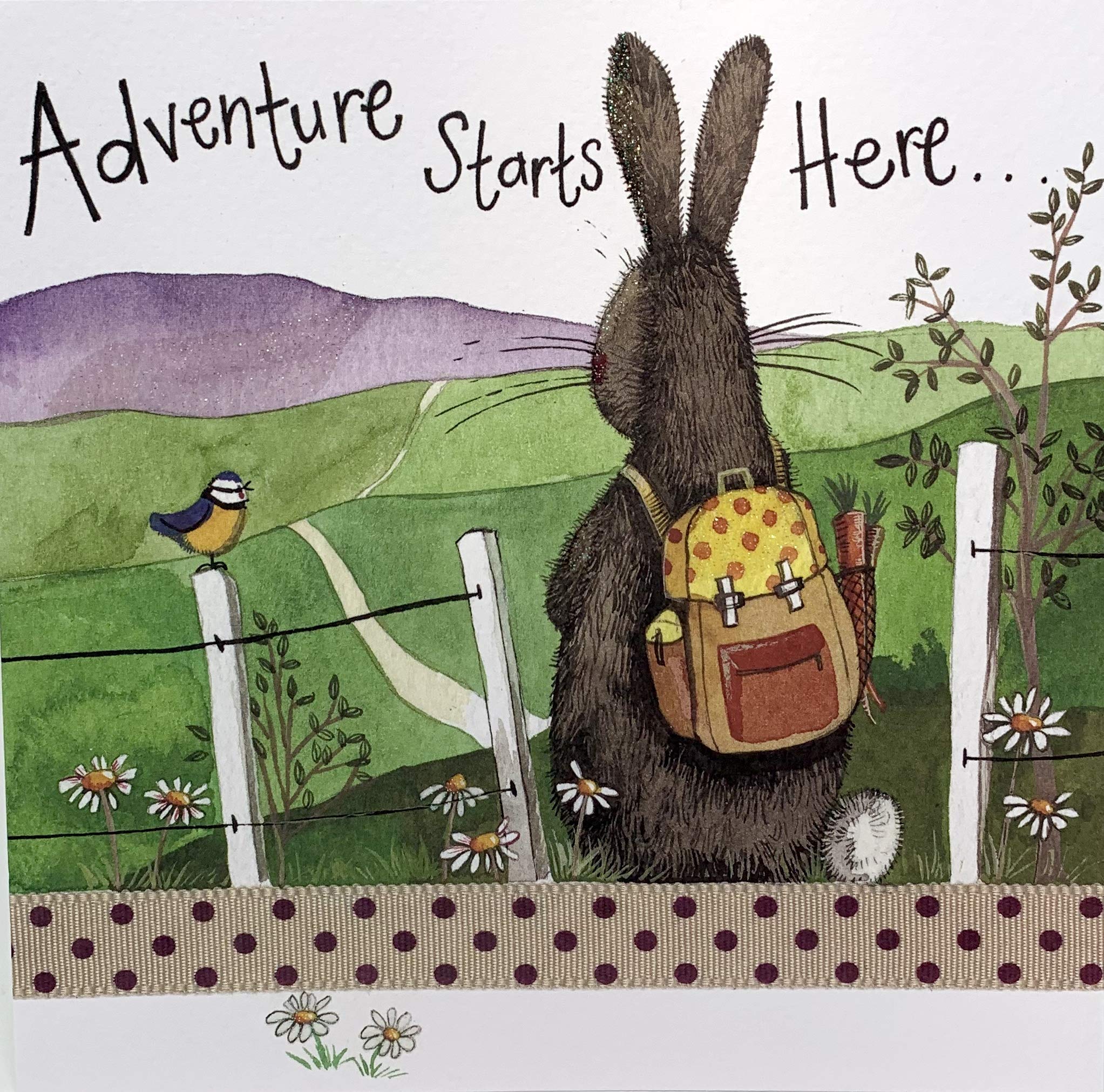 Alex Clark Adventure Starts Here Rabbit Foil Card - Wildlife - Bunny - Countryside - 1st Day Of School - Leaving Card - Greetings Cards - Cards New Beginnings - Designed and Printed in the UK…