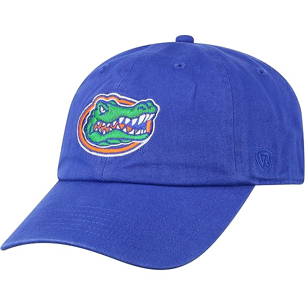 top of the world gators hat