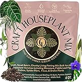 Craft Houseplant Potting Mix, Elite House Plant Soil, Chunky, Well Draining Potting Soil for Indoor Plants, Tropical Plants & Potted Plants, Sustainable & Peat Free, Less Prone to Gnats 4qt