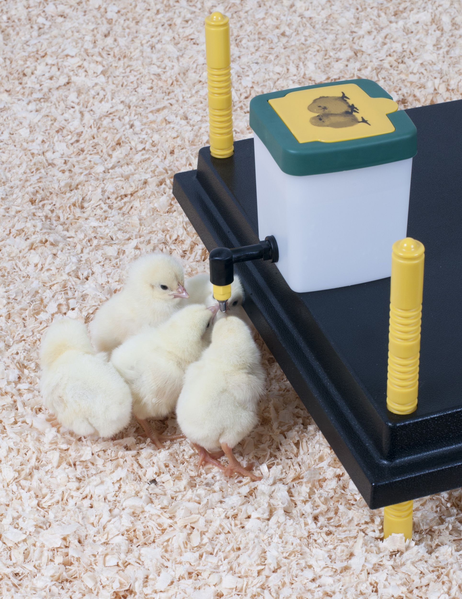 0.5Ltr Chick Nipple Drinker