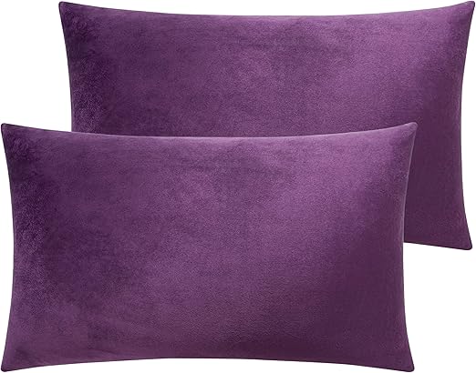 Amazon Com Ntbay Zippered Velvet Queen Pillowcases 2 Pack Super