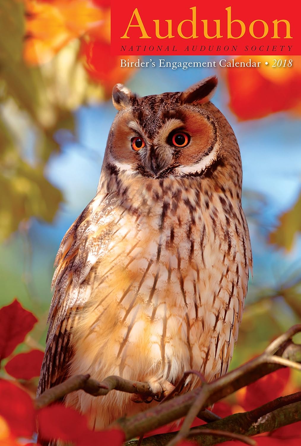 Best bird 2018 desk calendar