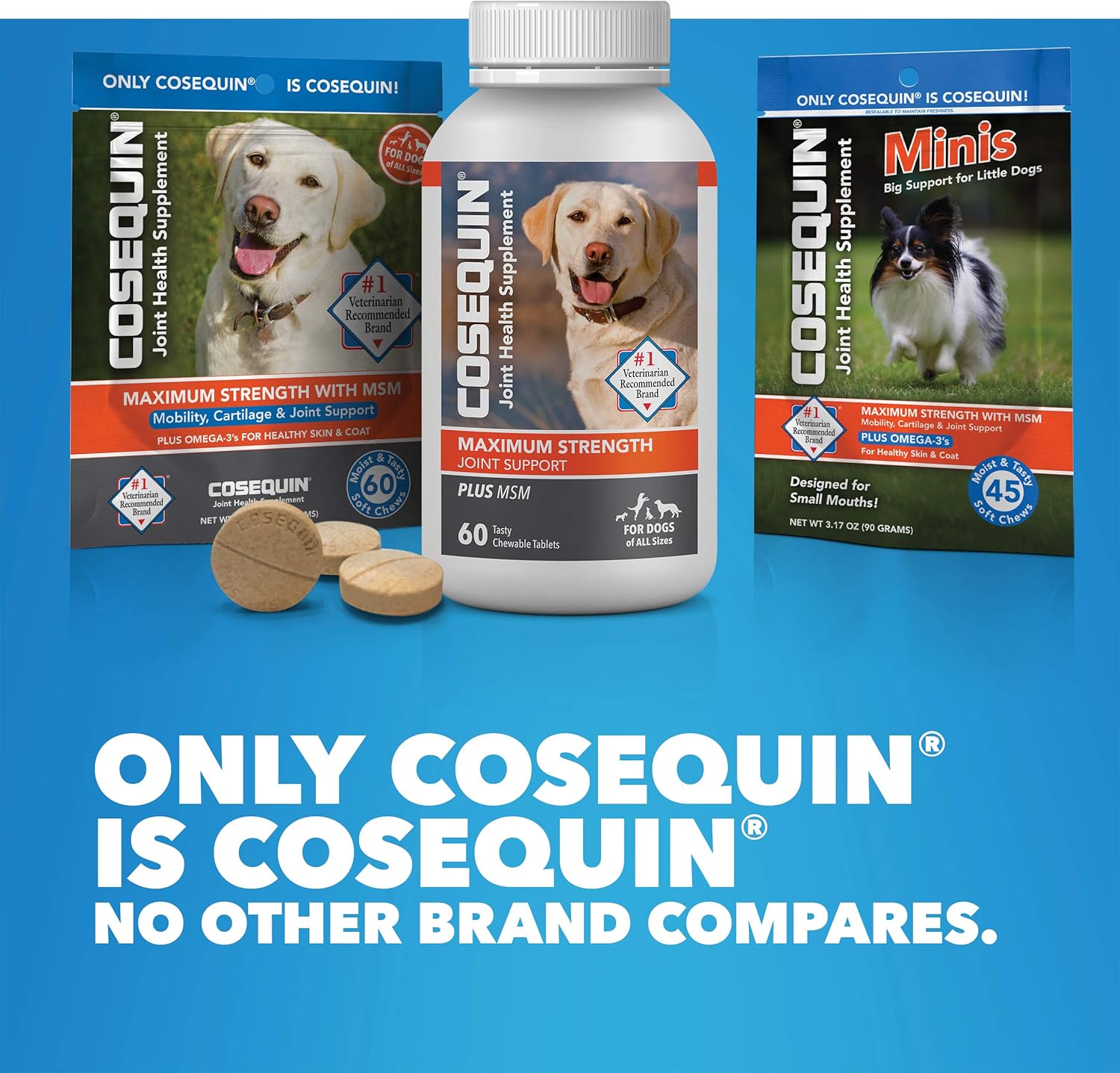COSEQUIN w/MSM Chewable Tablets, 132 ct : Pet Bone And Joint Supplements : Pet Supplies