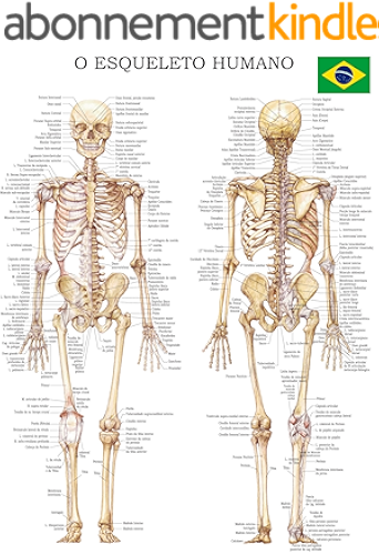 Download O esqueleto humano: Rápida Tabela de Referência (Portuguese Edition) PDF