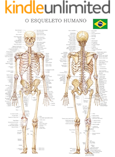 El Esqueleto Humano Guia Rapida De Referencia Ideal Para Estudiantes Pacientes Y Medicos Para Tener Una Detallada Vista Del Esqueleto Humano English Edition Ebook Hc Healthcomm Amazon Es Tienda Kindle