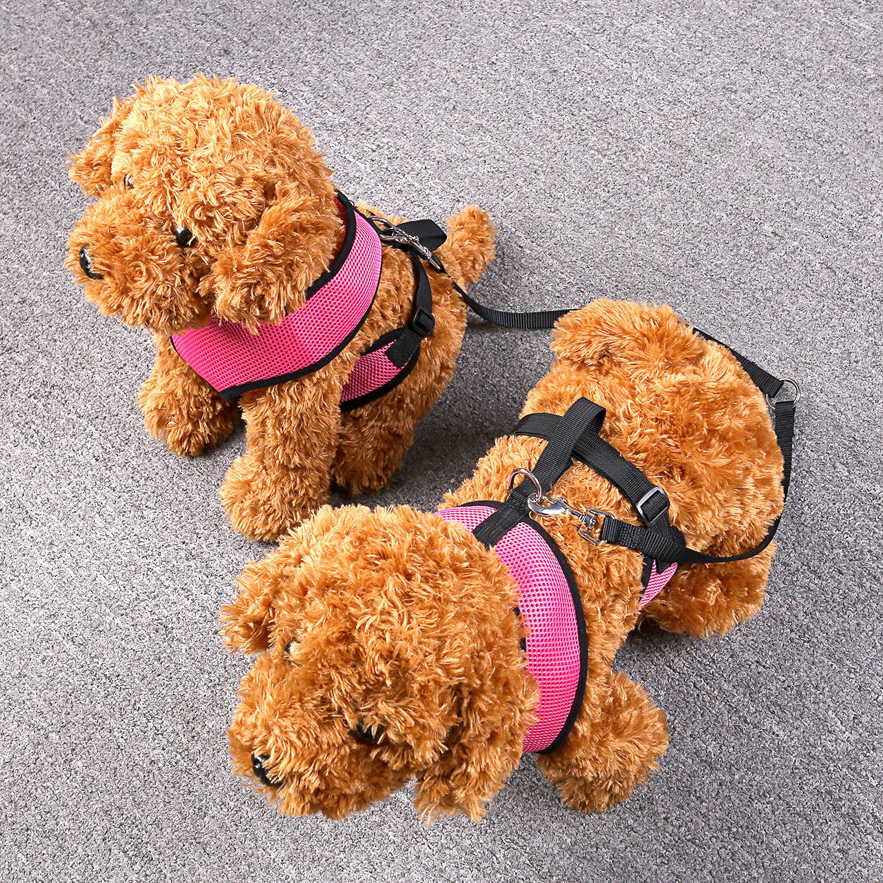 CozyCabin Dual Durable Dog Leash Strap No-Tangle for 2 Dogs Cats Small Pets for Walking Running and Training (Nylon,Black) (M)