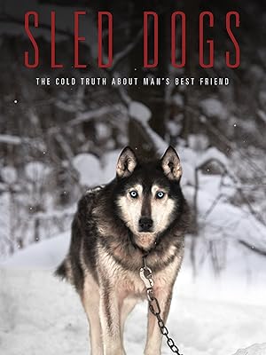 schnauzer and yorkie