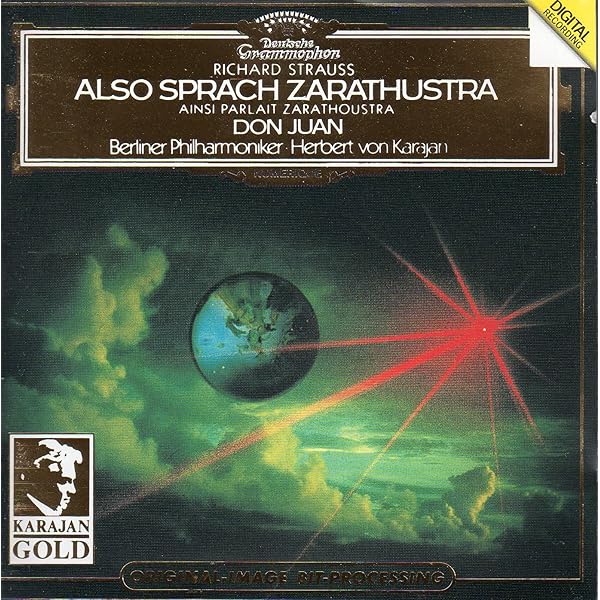 その他 THE OTHER STRAUSS [CD] Amazon.co.jp: The Call of the Void [12 inch Analog