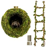Jumping Spider Accessories - Moss Hideout with Hemp Rope Bridge | Magnetic decor set for jumping spider enclosures. Premium moss hideout &amp; hemp rope bridge expand climbing space.