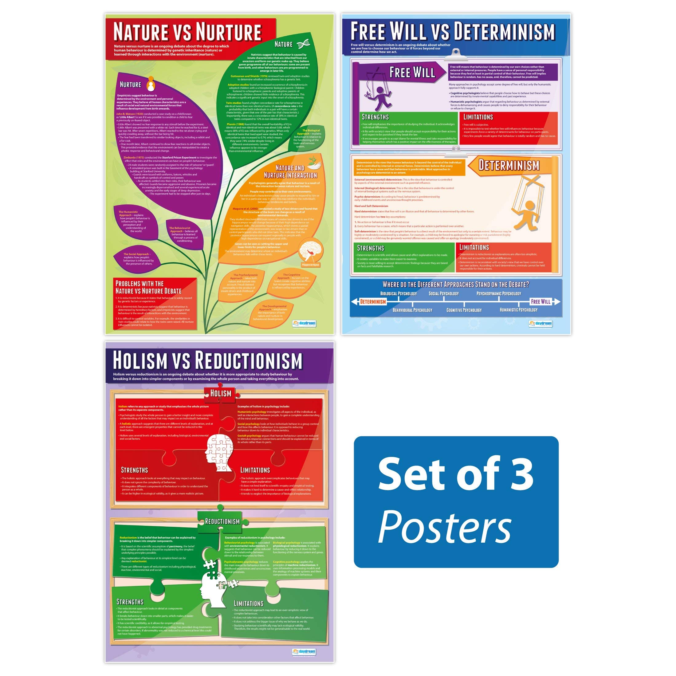 Daydream Education Debates in Psychology Posters - Set of 3 | Psychology Posters | Laminated Gloss Paper measuring 850mm x 594mm (A1) | Psychology Charts for the Classroom | Education Charts