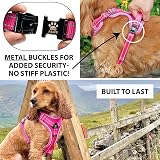 Elite Paws UK Premium Metal Buckle Dog Harness Pink Small view 2