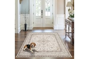 5x5 Rug Square Washable for Entry: Oriental Rugs for Living Room- Ultra Thin Low Pile Stain Resistant Carpet - Home Decor for