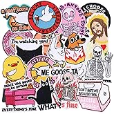 20 PCS Funny Embroidered Iron On Patches for Clothes,Cool Meme Sew On Applique Patches for Hat,Backpack,Jackets,Jeans,Vest,Funny Iron on Patches for Adults