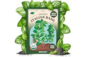 Seedboy 250 Organic Basil Seeds for Planting Indoor and Outdoor, Non-GMO and USDA Certified Herb Seed Packet for Hydroponic Garden Indoor or Planting Outdoors (Genovese Basil)