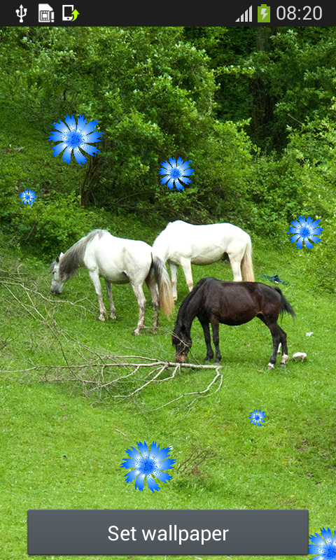 馬のライブ壁紙 Amazon Co Jp Appstore For Android