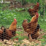VOUNOT PVC Coated Hexagonal Chicken Wire Mesh 1m x 25m 25mm Grey view 3
