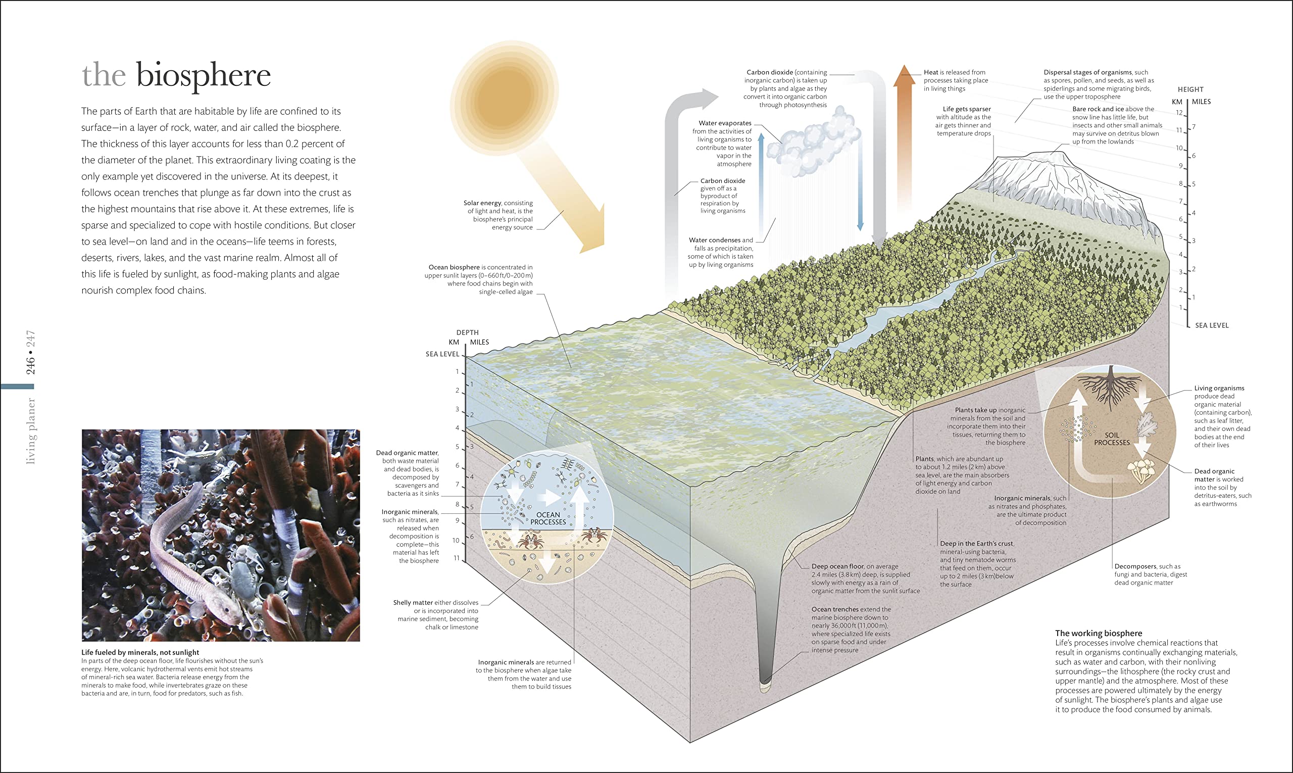 The Science of the Earth: The Secrets of Our Planet Revealed (DK Secret World Encyclopedias)