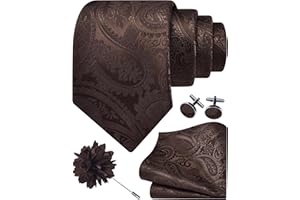 GUSLESON Paisley Tie Set for Men 3.15" Necktie Lapel Pin Hankerchief Cufflinks Set for Men